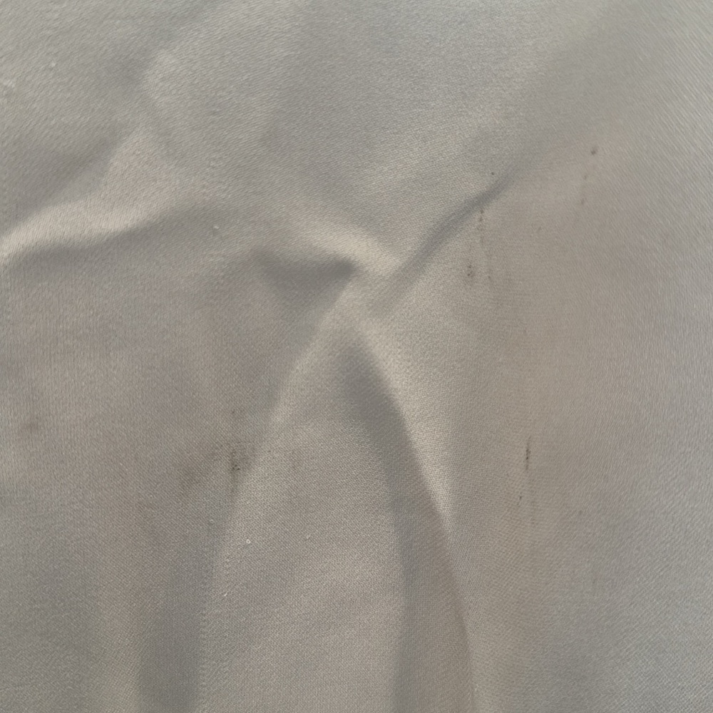 ALC Sheer Blouse - Picture 3 of 3